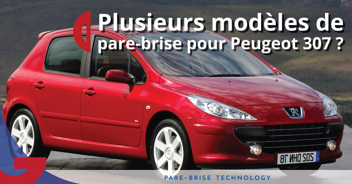 Les différents modèles de pare-brise de Peugeot 307 - Glass